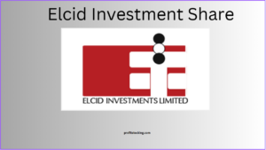Elcid Investment Share